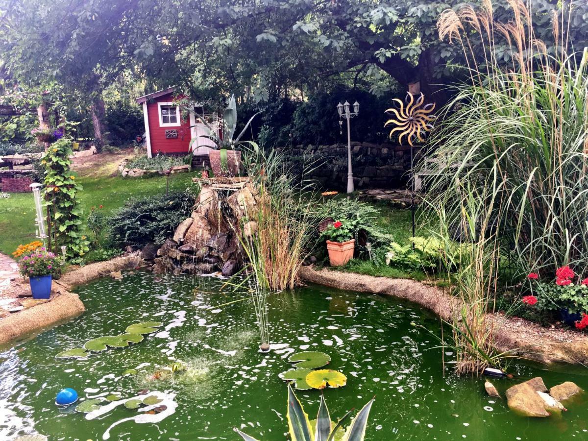Zentrumsnahe Ferienwohnung Dresden Exteriör bild